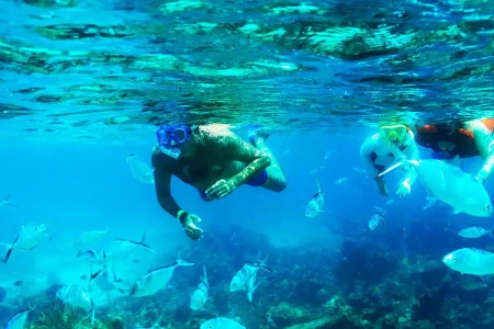 Catalina Island Snorkeling