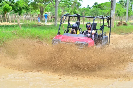 Buggies Polaris