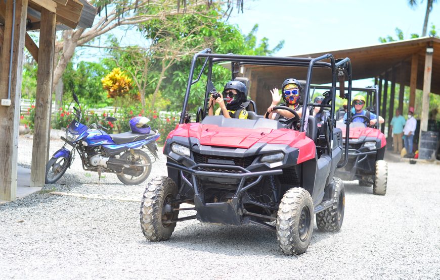 Buggies Polaris doble x2